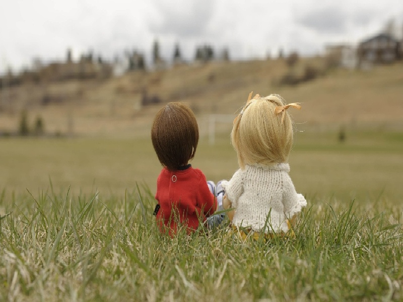 李先生夫妇成功案例